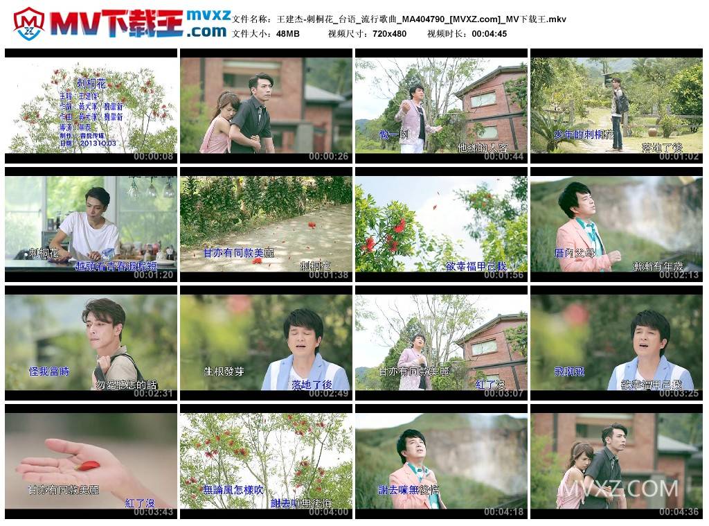 王建杰-刺桐花_台语_流行歌曲_MA404790